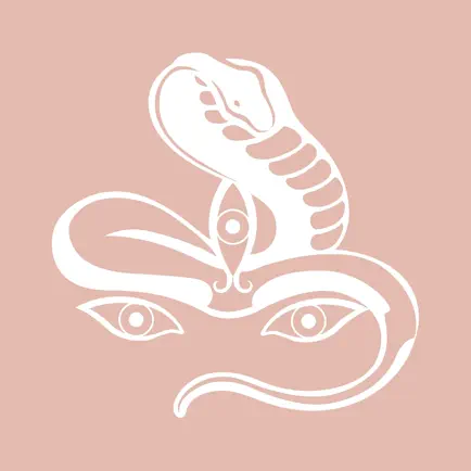Jivamukti Yoga Stavanger Читы