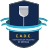 Cestoball Carnet Digital icon