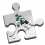 Ultimate Hockey Puzzle