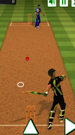 Game screenshot Smash Cricket Challenge mod apk
