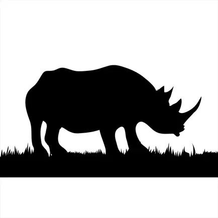 Числа на африкаанс Читы