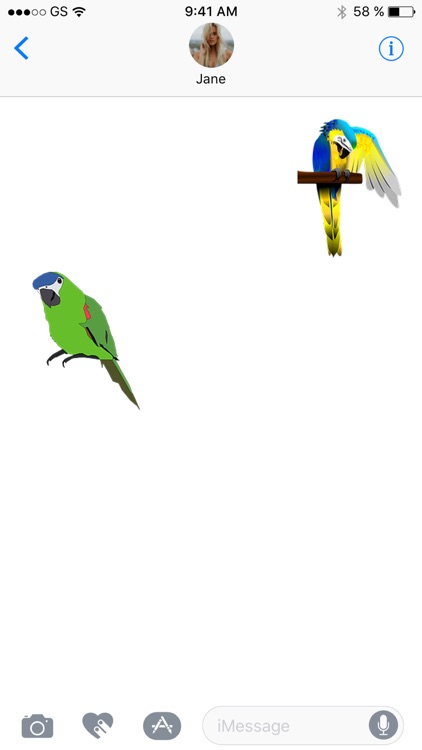 Parrot Sticker Pack!