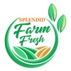 Splendid Farm Fresh