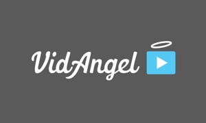 VidAngel