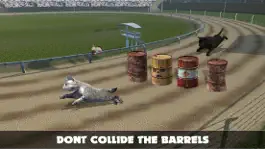 Game screenshot Cat Racing Free Game mod apk
