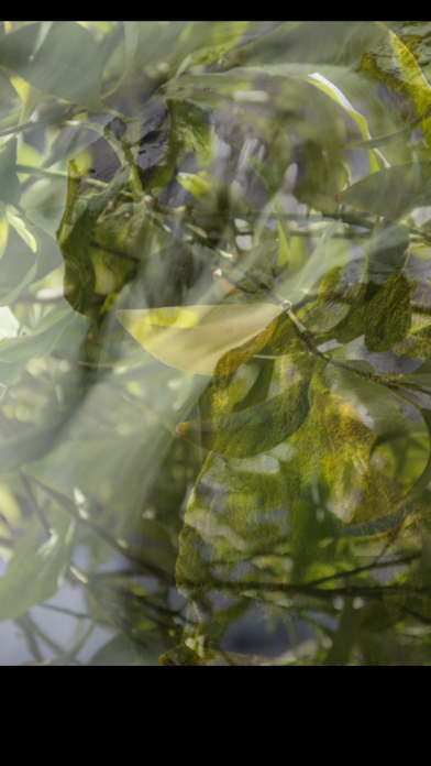 Screenshot #2 pour PhotoMixage