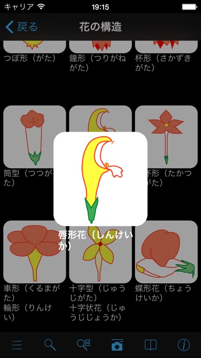 季節の野草・山草図鑑 screenshot1