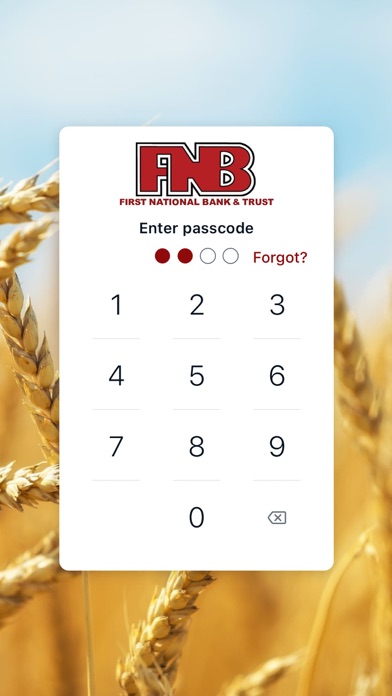 First National Bank Bottineau Screenshot