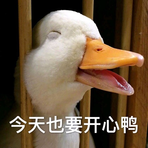 开心鸭