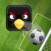 Soccer Birds - Tournament Sport Angry