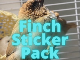 Finch Stickers