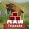 Beautiful addicting 3D TriPeaks pyramid solitaire games to captivate you