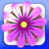 Snappy Touch top app icon