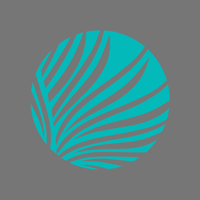 Palmetto Pointe Church