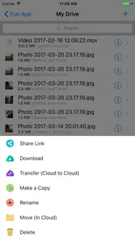 File Manager for Cloud Drives iphone bilder 3