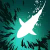 Shoal of fish App Support