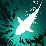 Download Shoal of fish app