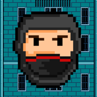 Ninja Stuntman Climb