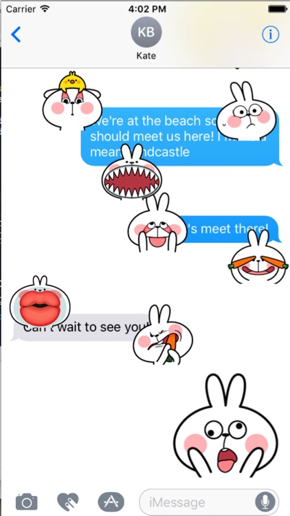 Cool Rabbit Face
