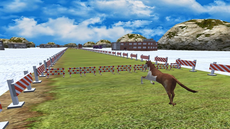 Wild Derby Riding - Horse Race screenshot-4