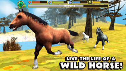 Wild Horse Simulator Screenshot