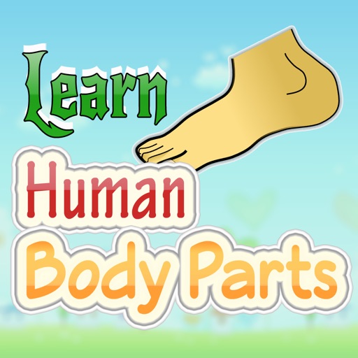 Human Body Guide For Kids