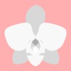 KulaMoji icon