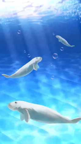 Game screenshot Aquarium dugong simulation apk