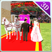 Wedding Horse Carriage and City Bridal Driving