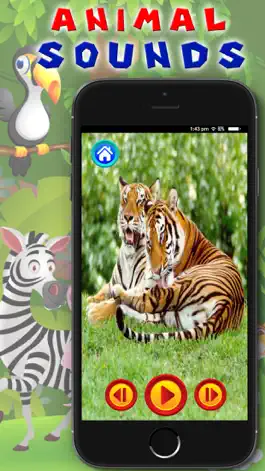 Game screenshot Animal Sounds - Toddler Animal Sounds and Pictures hack