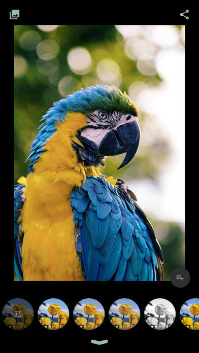 Screenshot 4 of Snapick App