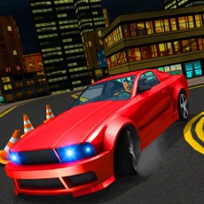 Activities of Car Simulator Extreme Driving