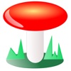 Funghi italiani icon