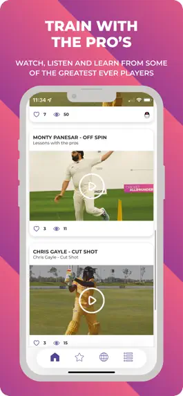 Game screenshot Cricket Allrounder apk