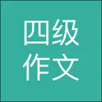 英语四级作文 App Problems