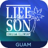 Life in the Son