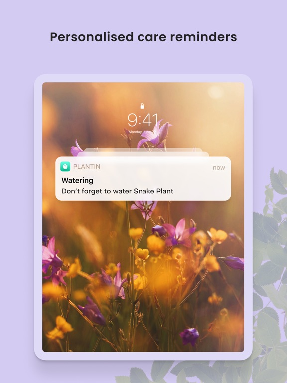PlantIn: Plant Identifier PlantIn: Plant Identifier