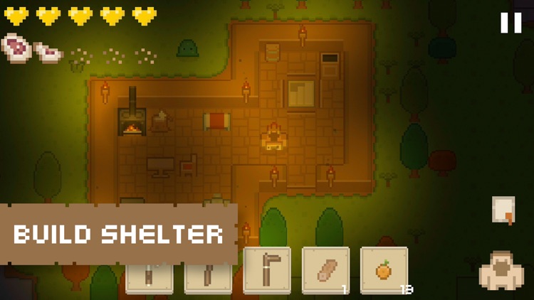 Island Survival - Pixel Paradise