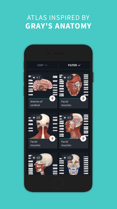Complete Anatomy ‘24スクリーンショット