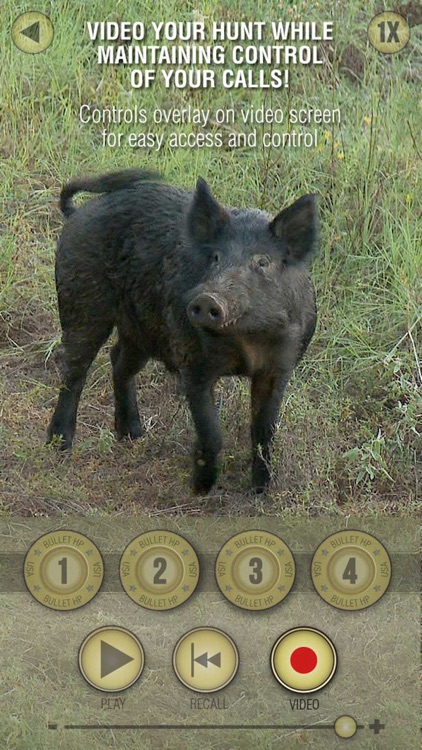 Wild Hog Pro screenshot-4