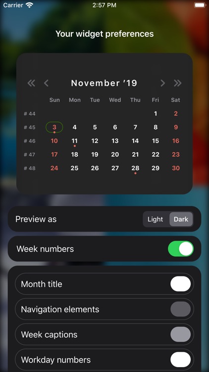 MiniMonth screenshot-4
