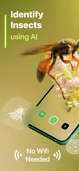 Game screenshot Insect Identifier mod apk