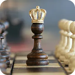 Chess Master - chess puzzles app icon