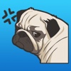 Pug Dogs Stickers