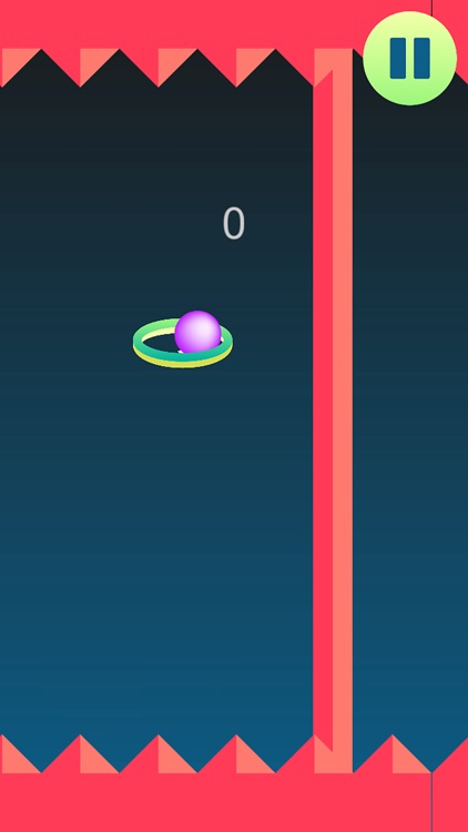 Through the Ring PRO screenshot-4