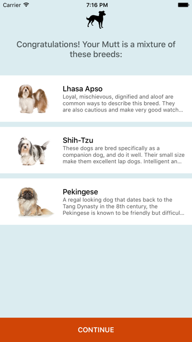 What's My Mutt? Screenshot 4 - AppWisp.com What's My Mutt? Screenshot 4 - AppWisp.com