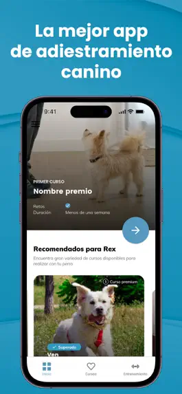Game screenshot Mister Cooper - Adiestramiento mod apk