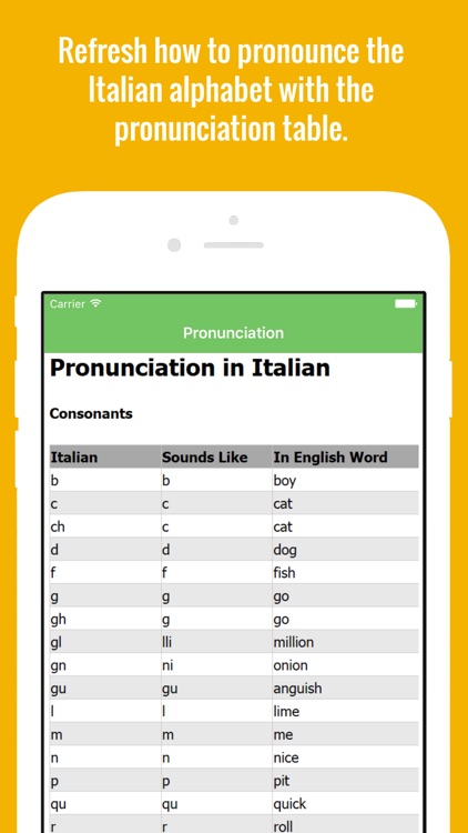 Italian Flashcards with Pictures Lite