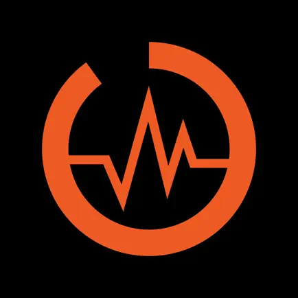 Rise Bootcamp Читы