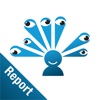 Mobile Report - PDF Report icon